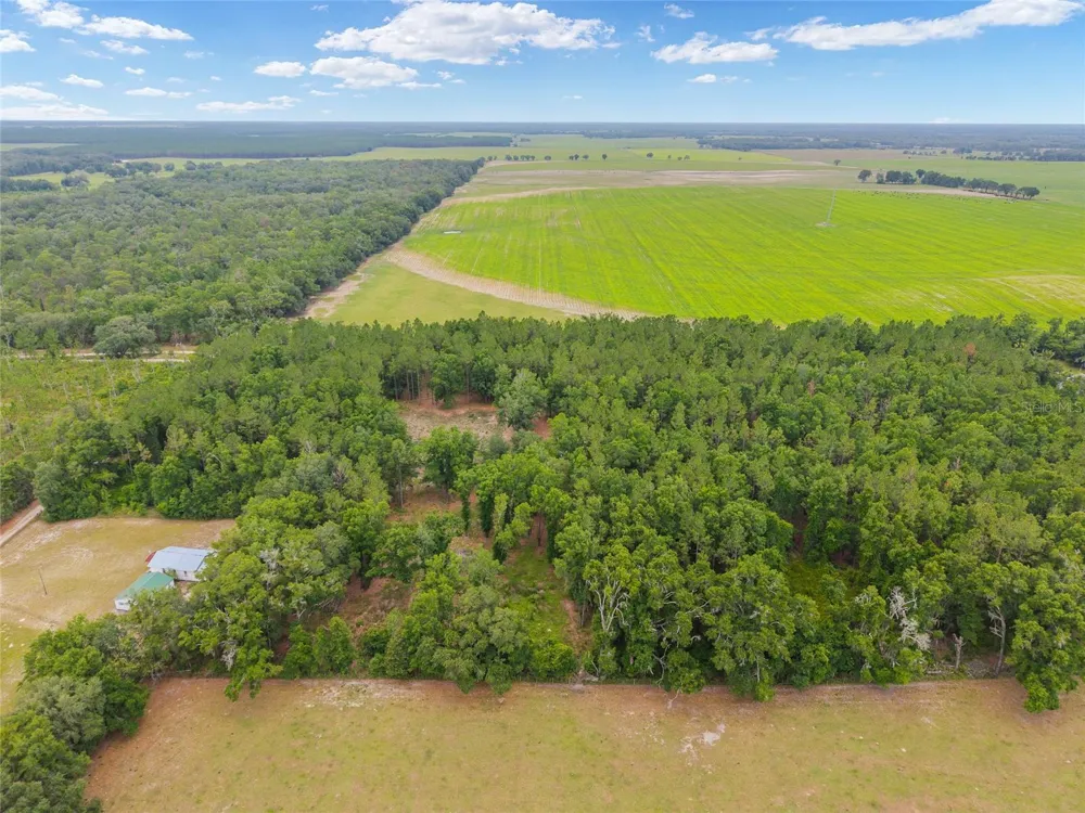 0 SW 234TH STREET Newberry, FL 32669