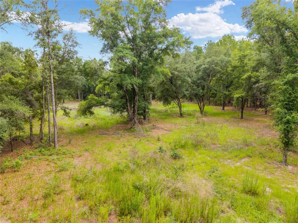 0 SW 234TH STREET Newberry, FL 32669