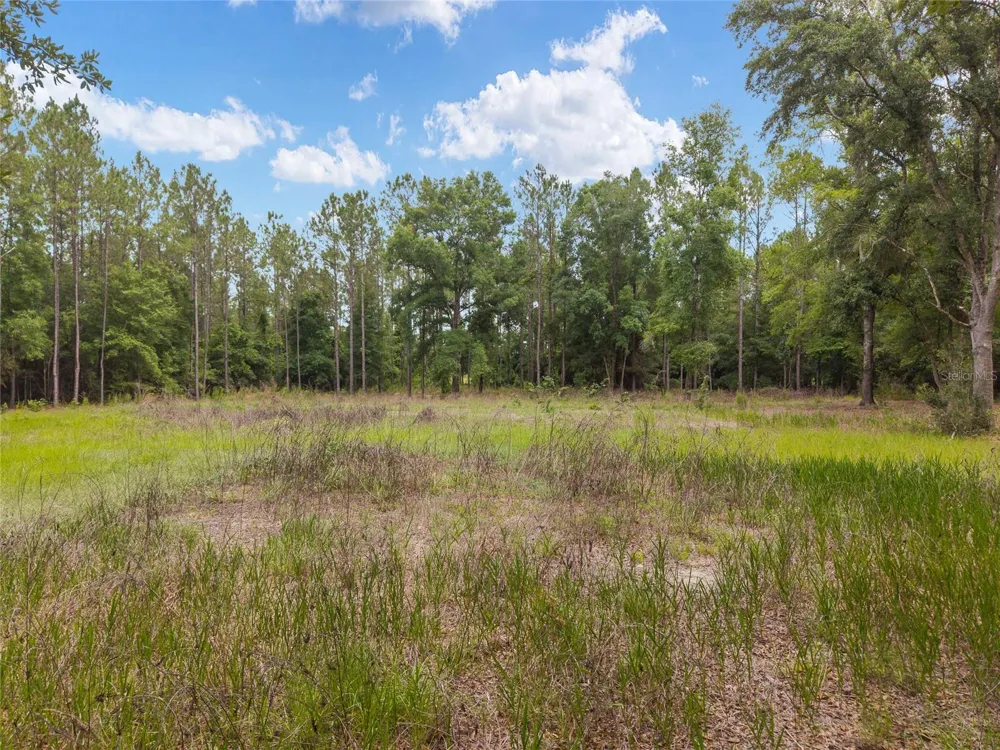 0 SW 234TH STREET Newberry, FL 32669