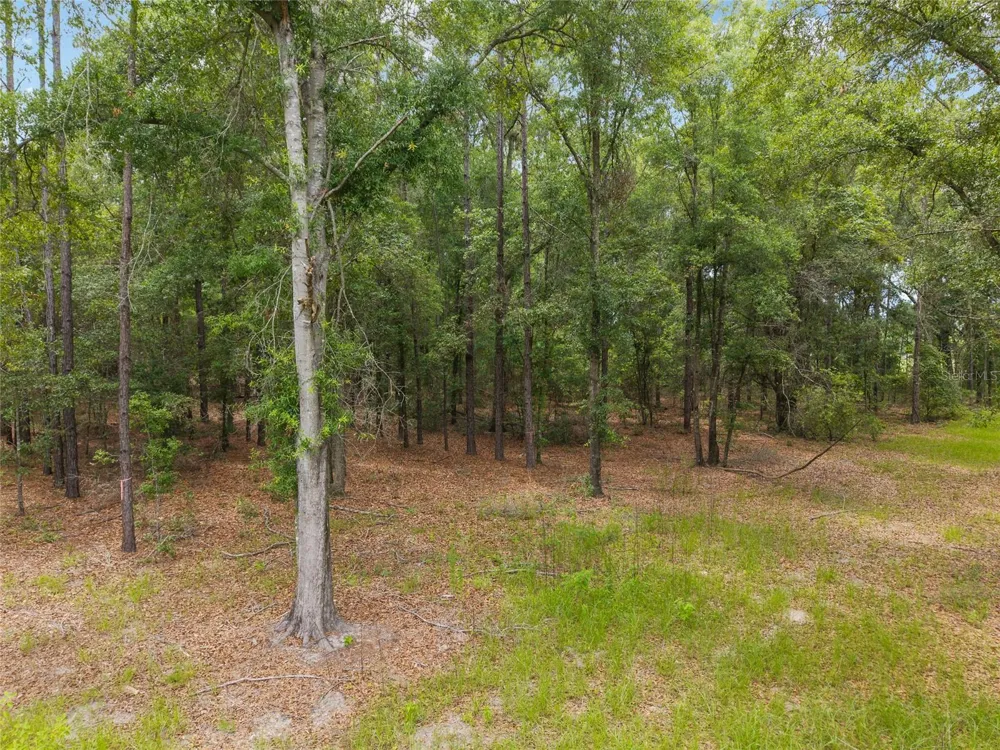 0 SW 234TH STREET Newberry, FL 32669