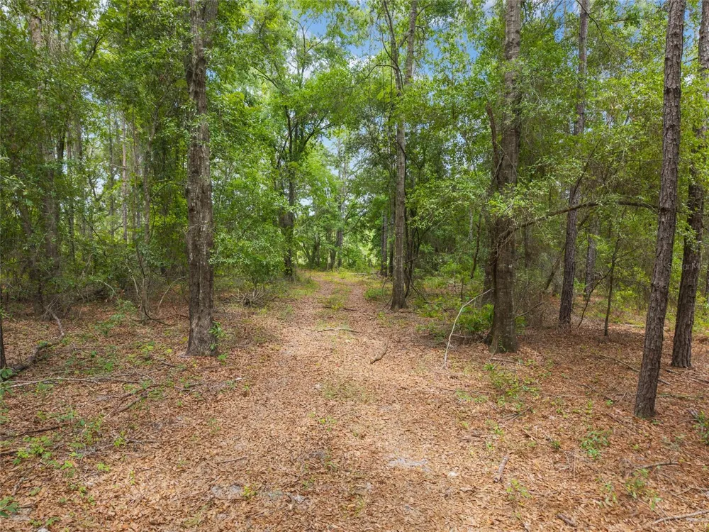 0 SW 234TH STREET Newberry, FL 32669