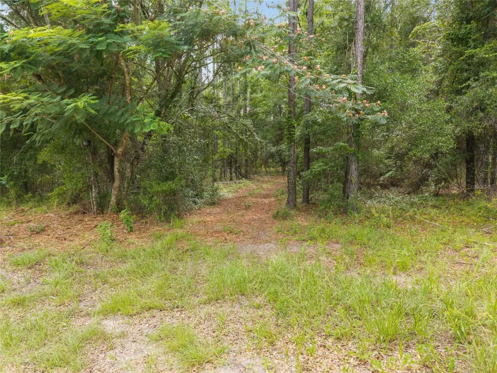 0 SW 234TH STREET Newberry, FL 32669