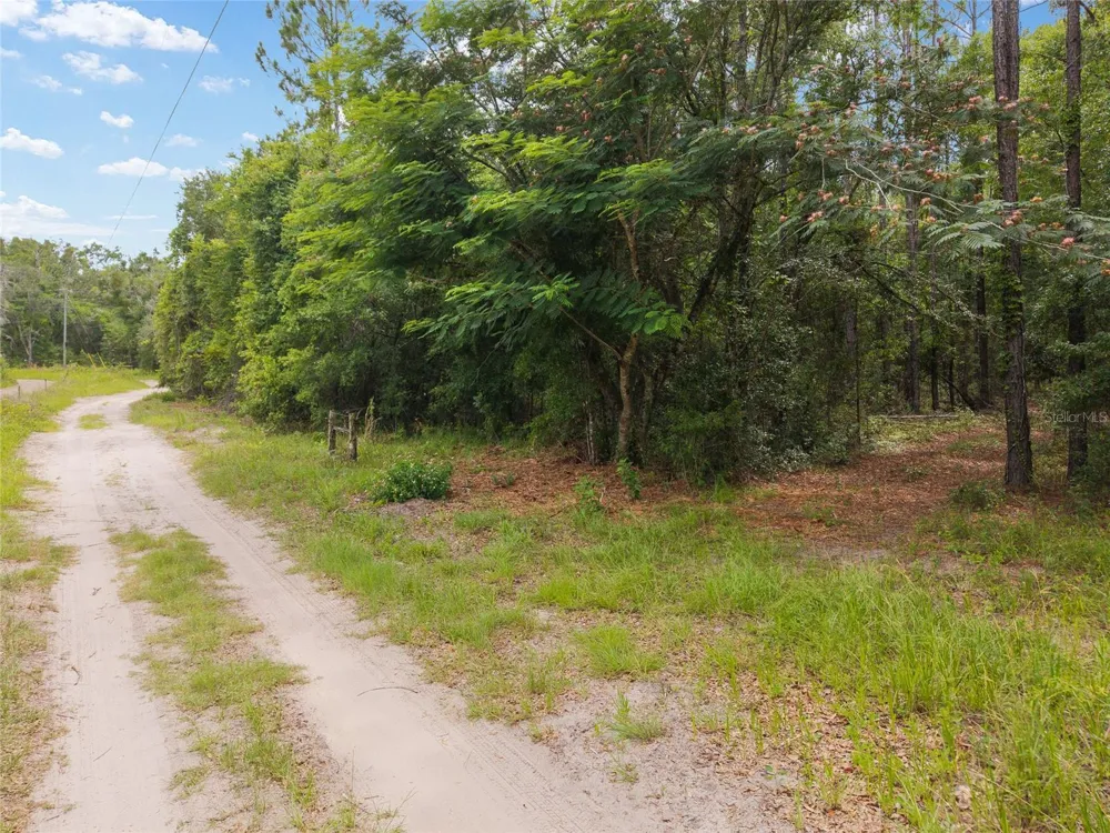 0 SW 234TH STREET Newberry, FL 32669