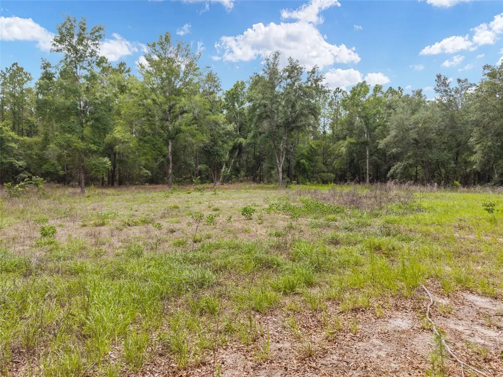 0 SW 234TH STREET Newberry, FL 32669