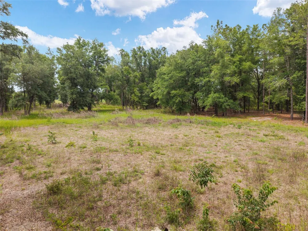 0 SW 234TH STREET Newberry, FL 32669
