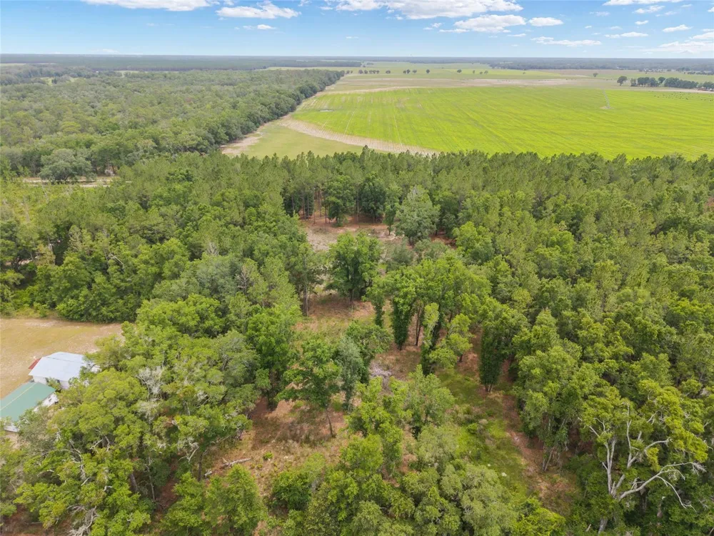 0 SW 234TH STREET Newberry, FL 32669