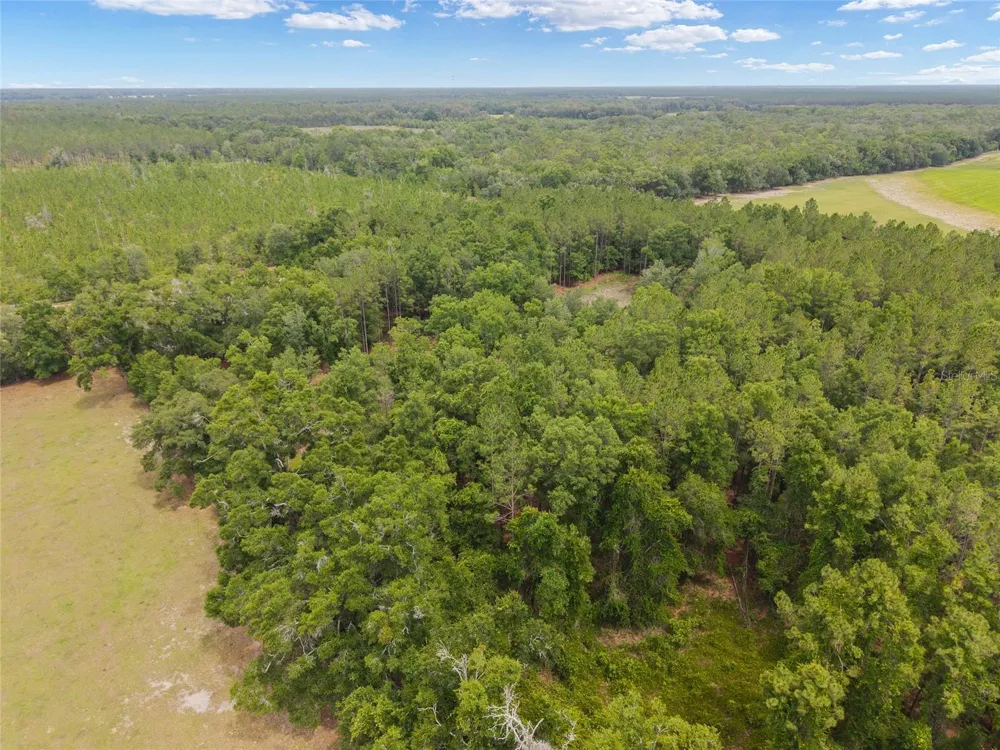0 SW 234TH STREET Newberry, FL 32669