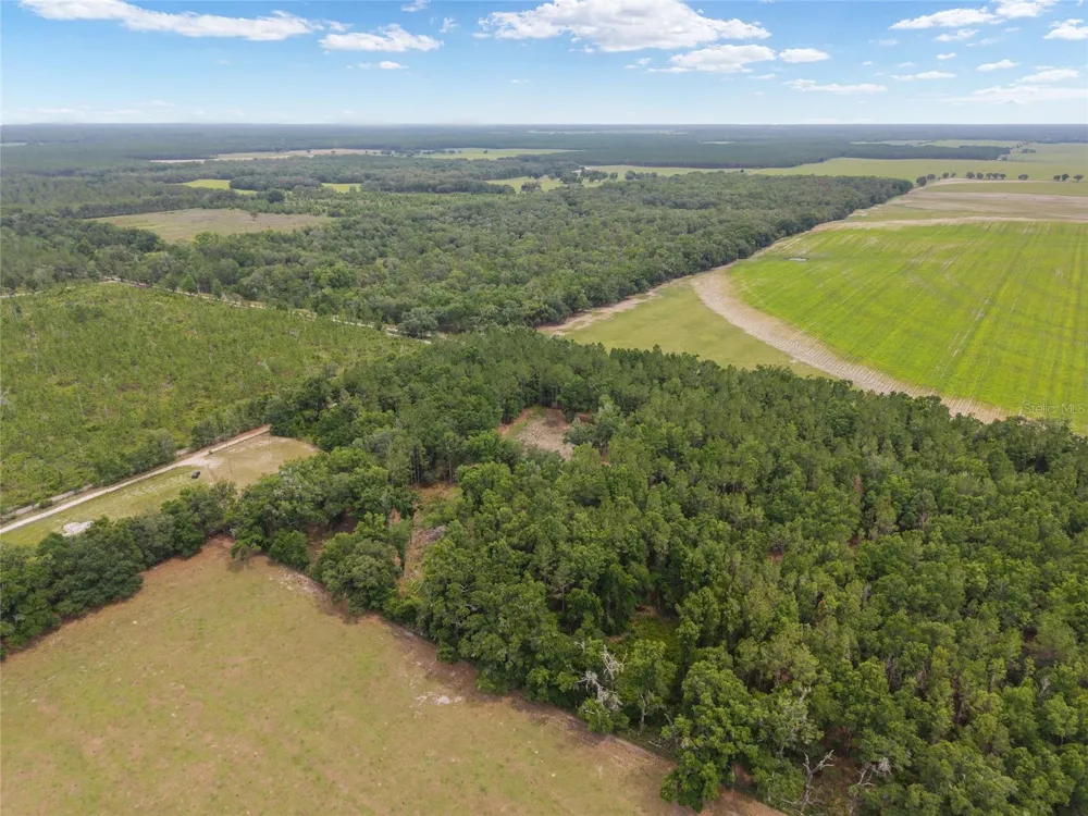 0 SW 234TH STREET Newberry, FL 32669