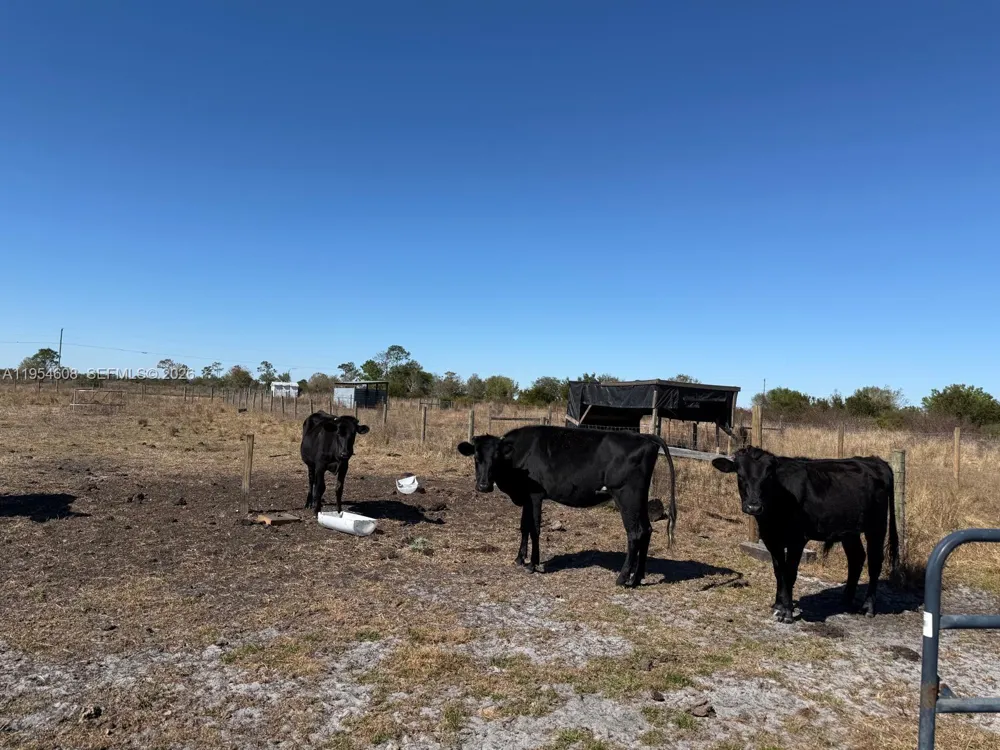 286 LOTT GRADE Other City - Not In The State Of Florida, FL 33960