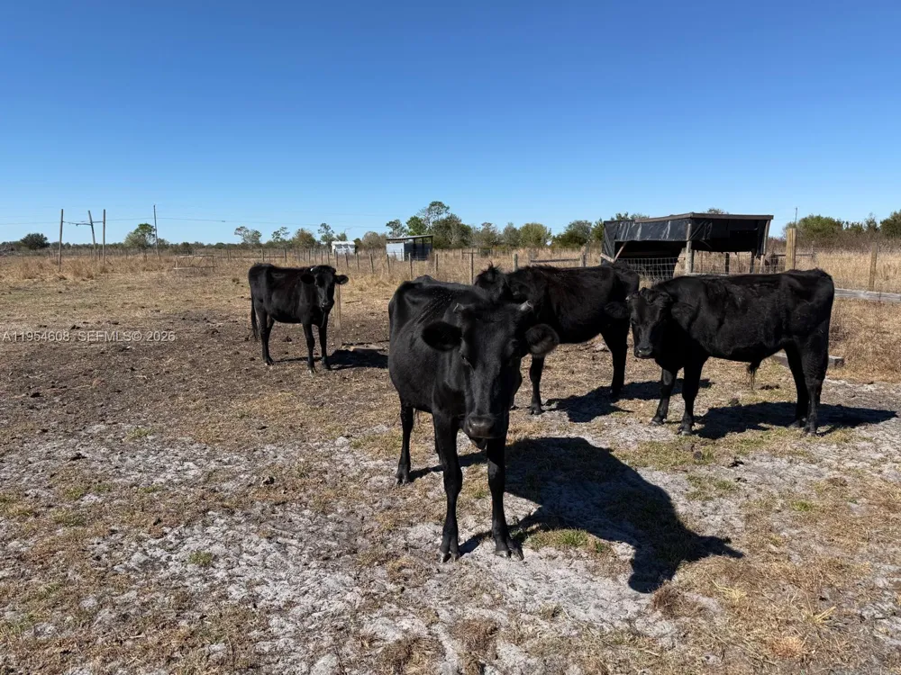286 LOTT GRADE Other City - Not In The State Of Florida, FL 33960