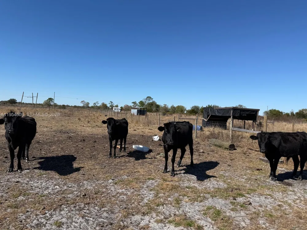 286 LOTT GRADE Other City - Not In The State Of Florida, FL 33960