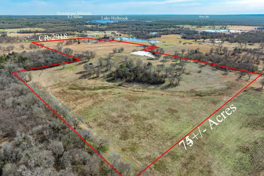 County Road 2918 Mineola, TX 75410