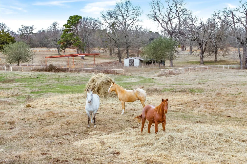 County Road 2918 Mineola, TX 75410