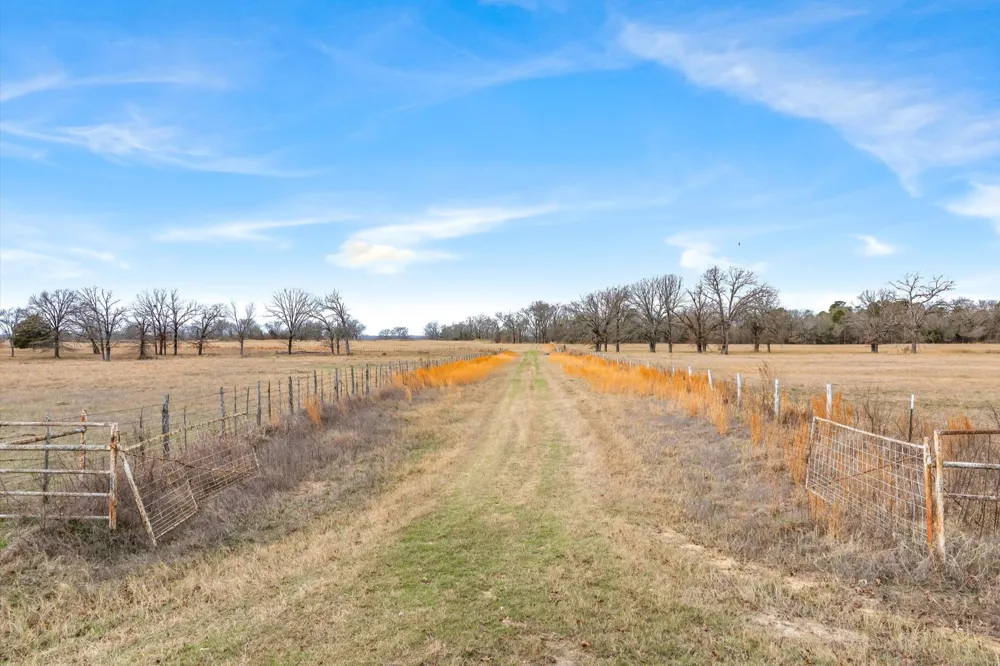County Road 2918 Mineola, TX 75410