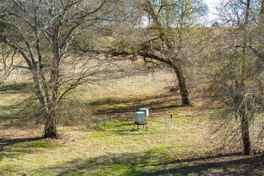 County Road 2918 Mineola, TX 75410