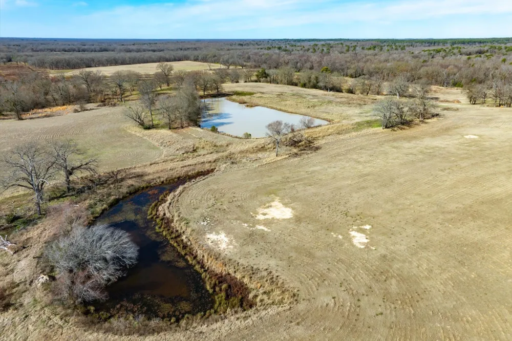 County Road 2918 Mineola, TX 75410