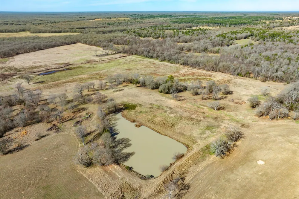 County Road 2918 Mineola, TX 75410