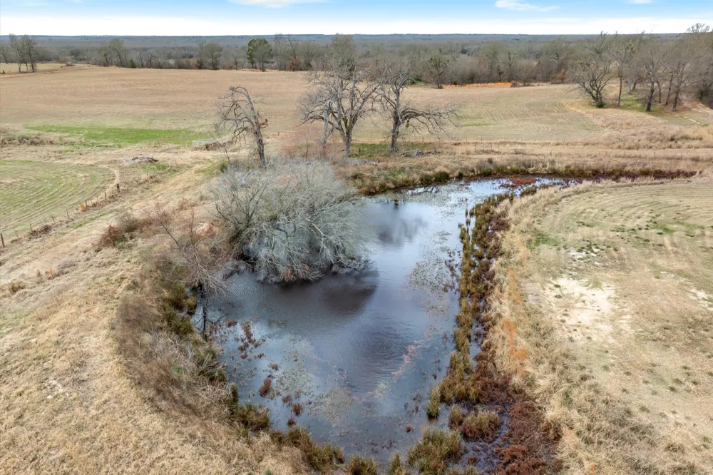 County Road 2918 Mineola, TX 75410