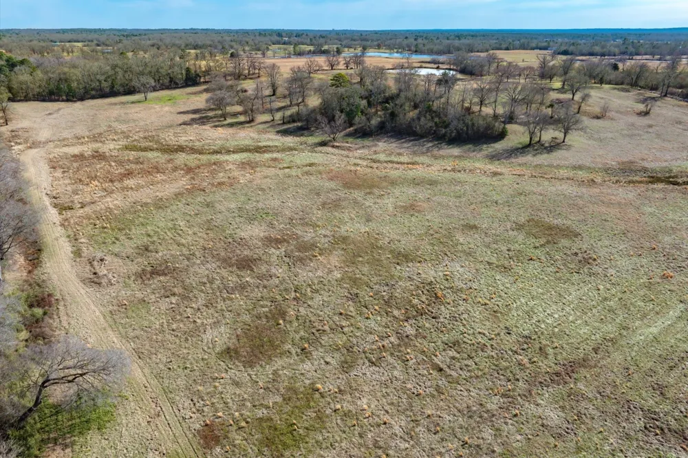County Road 2918 Mineola, TX 75410