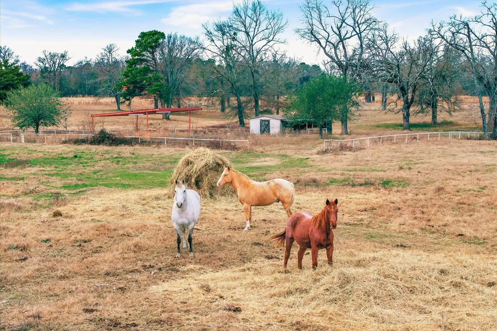 County Road 2918 Mineola, TX 75410