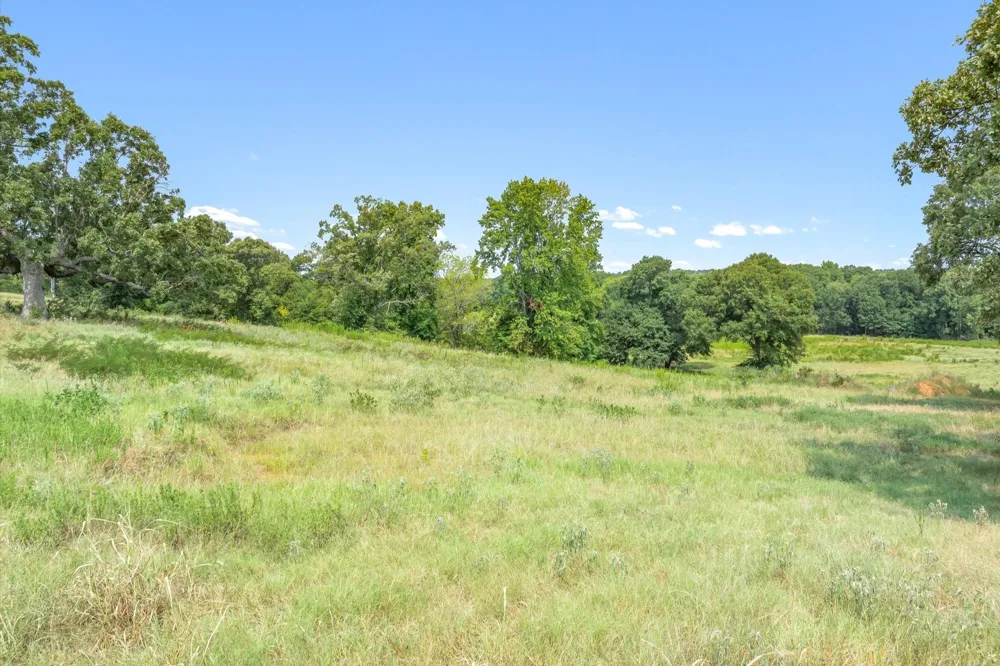 County Road 2918 Mineola, TX 75410