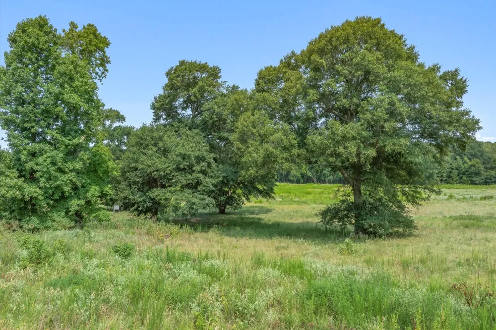 County Road 2918 Mineola, TX 75410