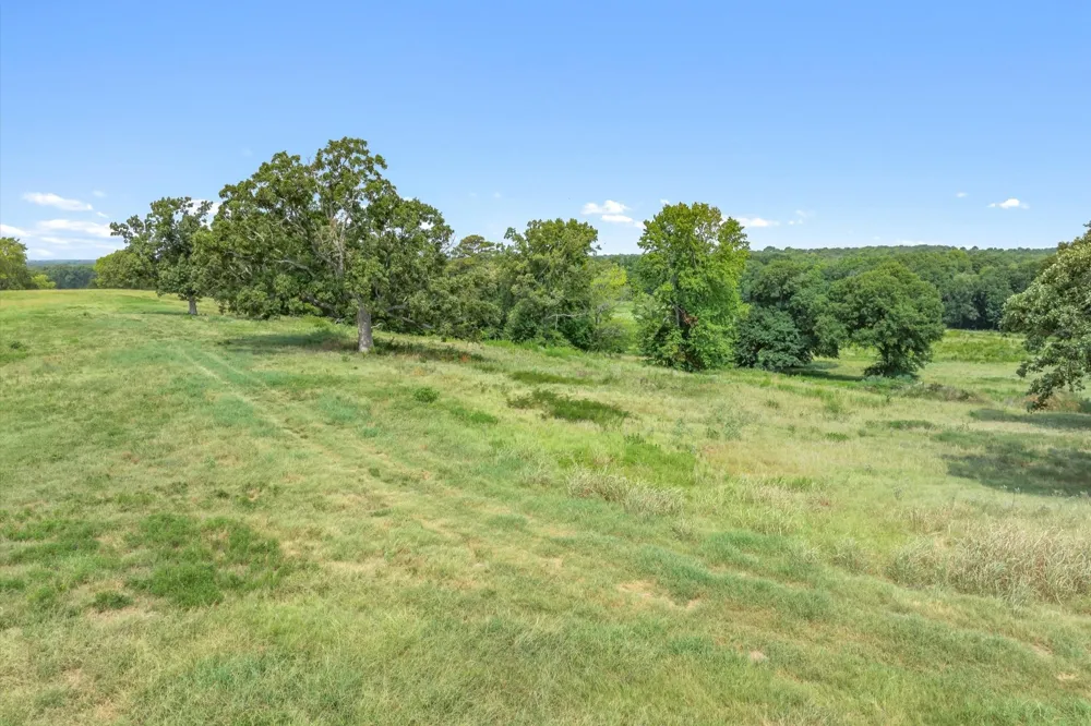 County Road 2918 Mineola, TX 75410