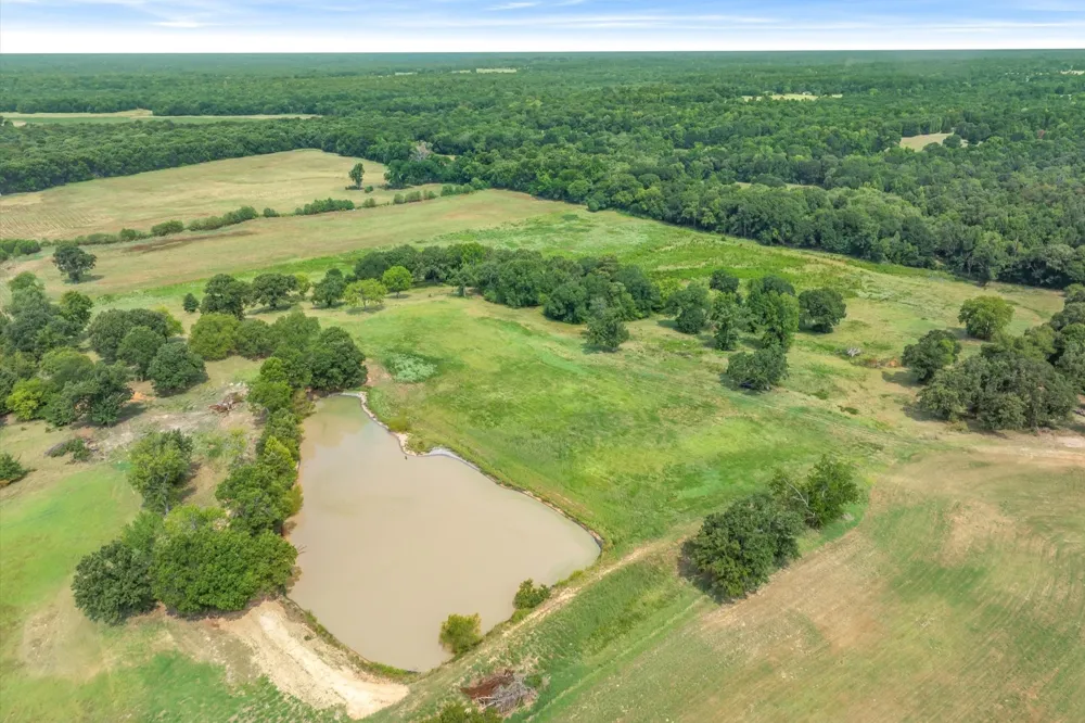 County Road 2918 Mineola, TX 75410
