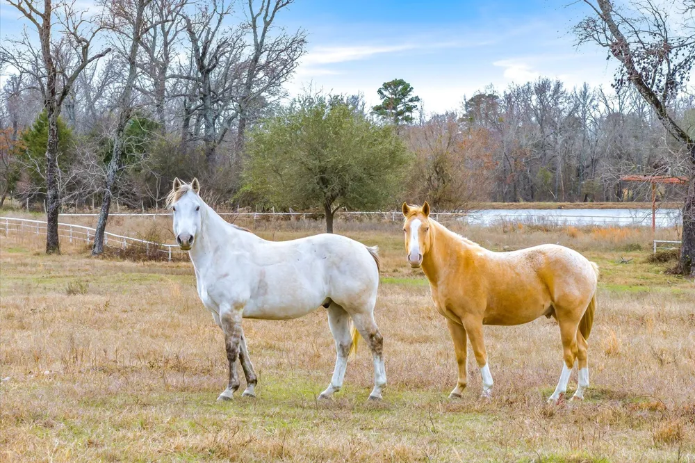 County Road 2918 Mineola, TX 75410