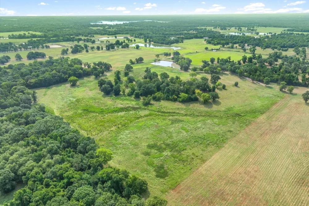County Road 2918 Mineola, TX 75410