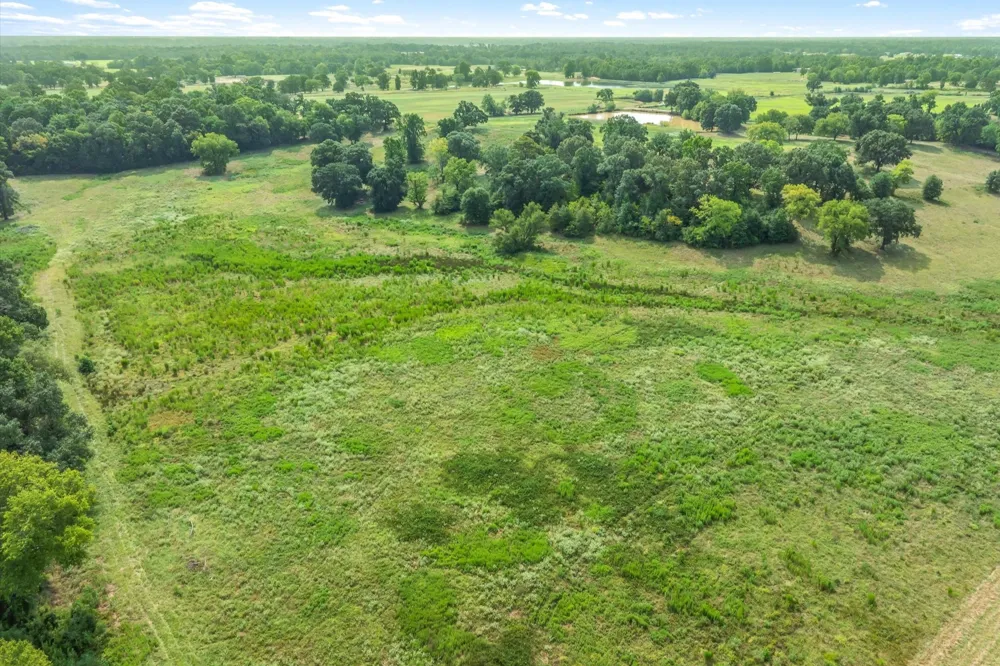 County Road 2918 Mineola, TX 75410