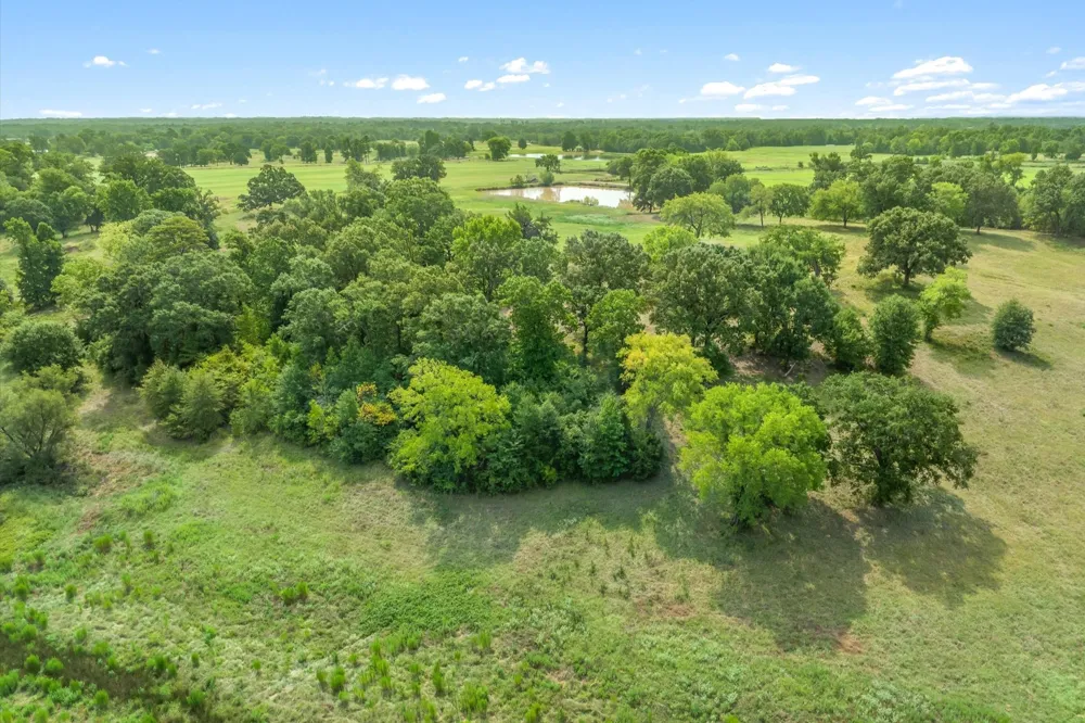 County Road 2918 Mineola, TX 75410