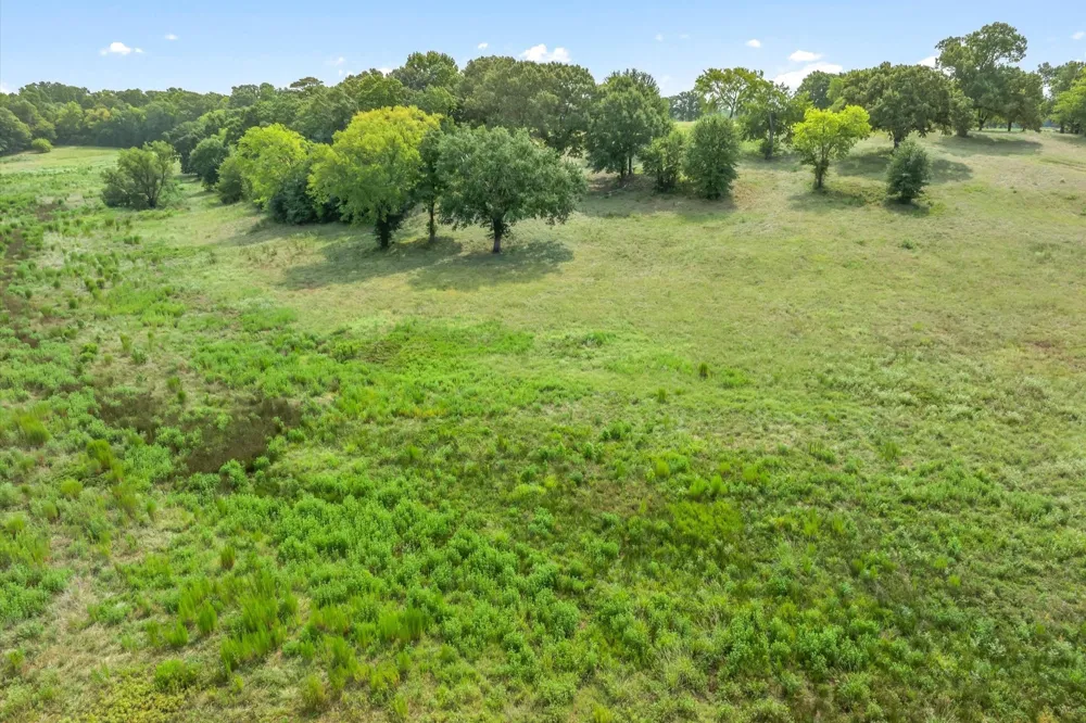 County Road 2918 Mineola, TX 75410