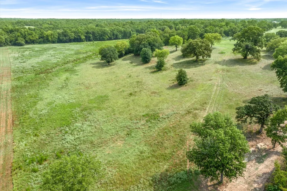 County Road 2918 Mineola, TX 75410