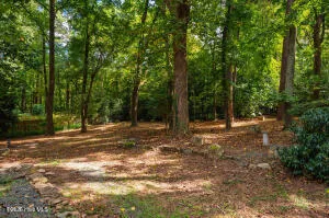 52 Dogwood Acres Drive Chapel Hill, NC 27516