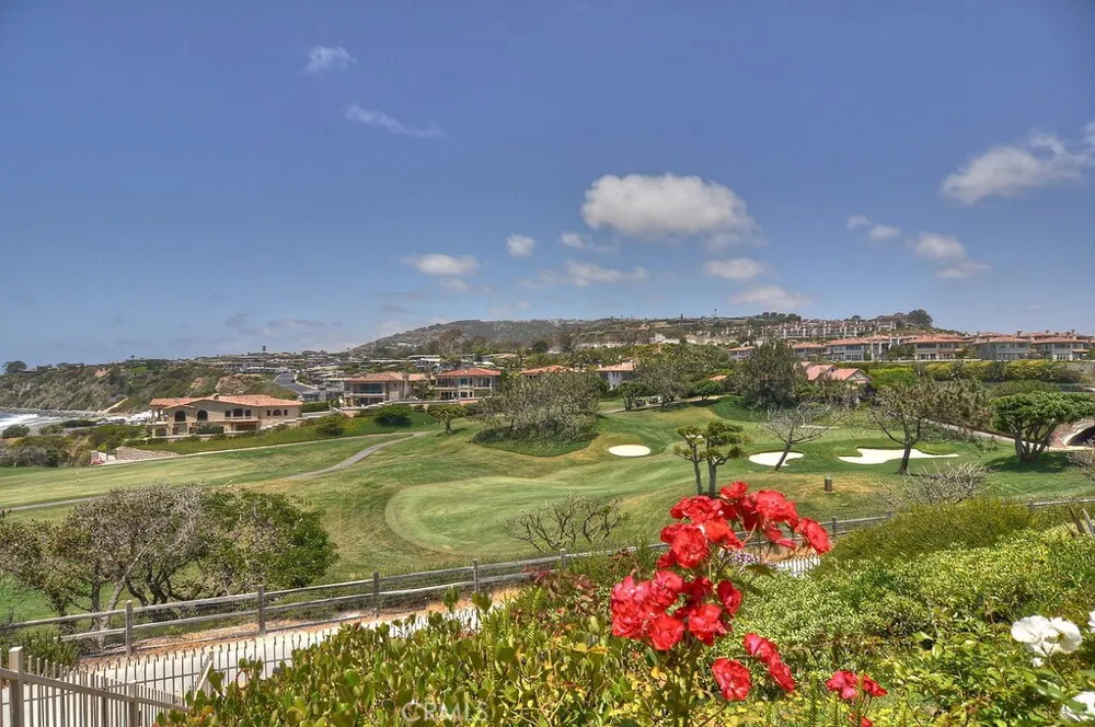 1207 Doheny Way Dana Point, CA 92629