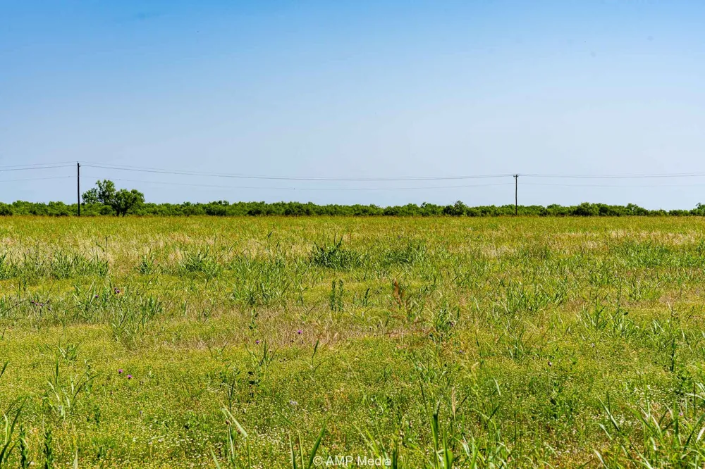 FM 2142 Rotan, TX 79546