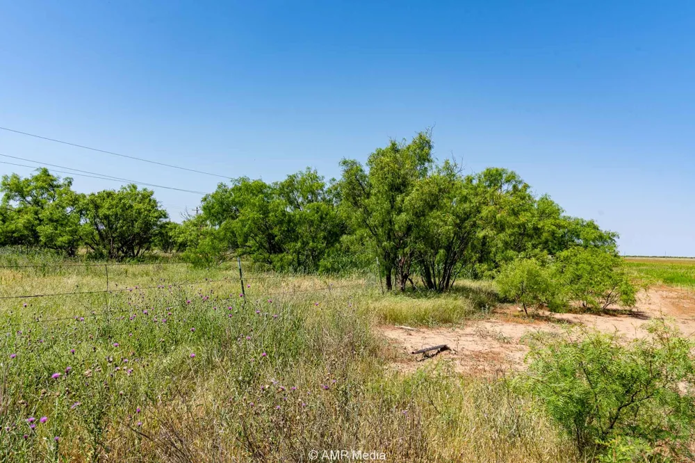 FM 2142 Rotan, TX 79546