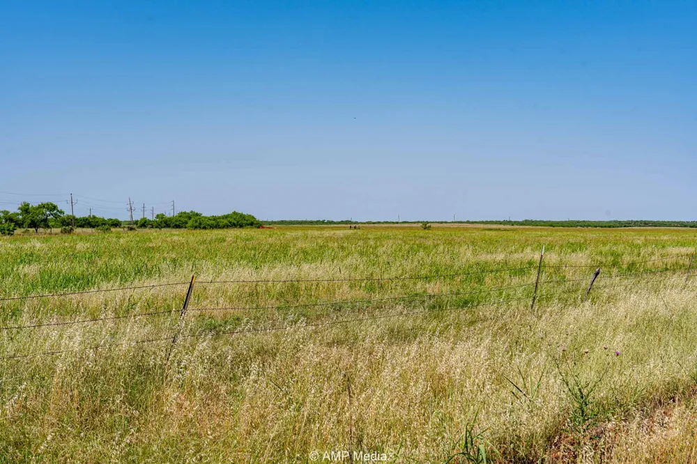 FM 2142 Rotan, TX 79546