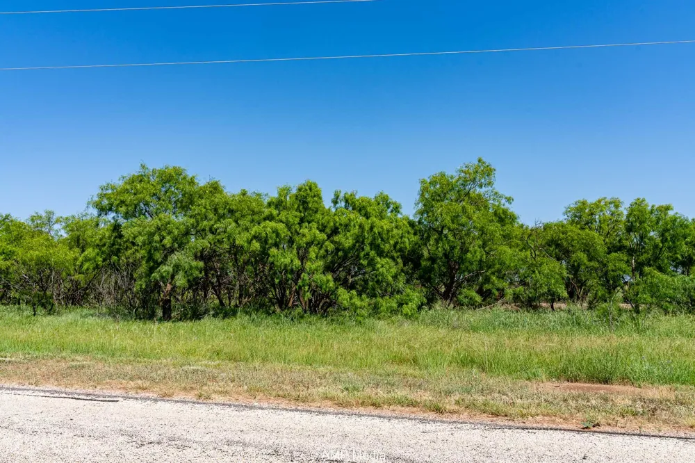 FM 2142 Rotan, TX 79546