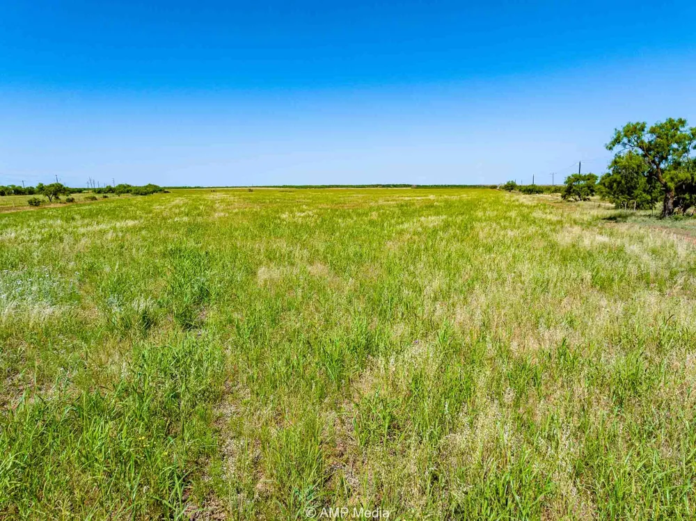 FM 2142 Rotan, TX 79546