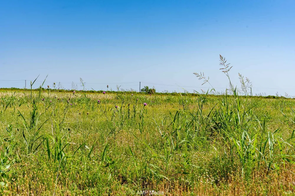 FM 2142 Rotan, TX 79546