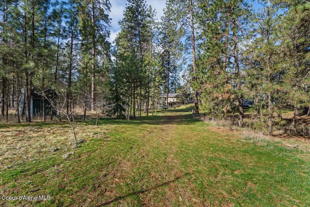1423 S PULPWOOD ROAD Medical Lake, WA 99022