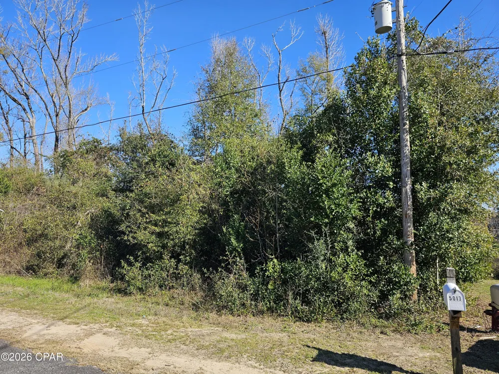 Flynt Drive Marianna, FL 32446