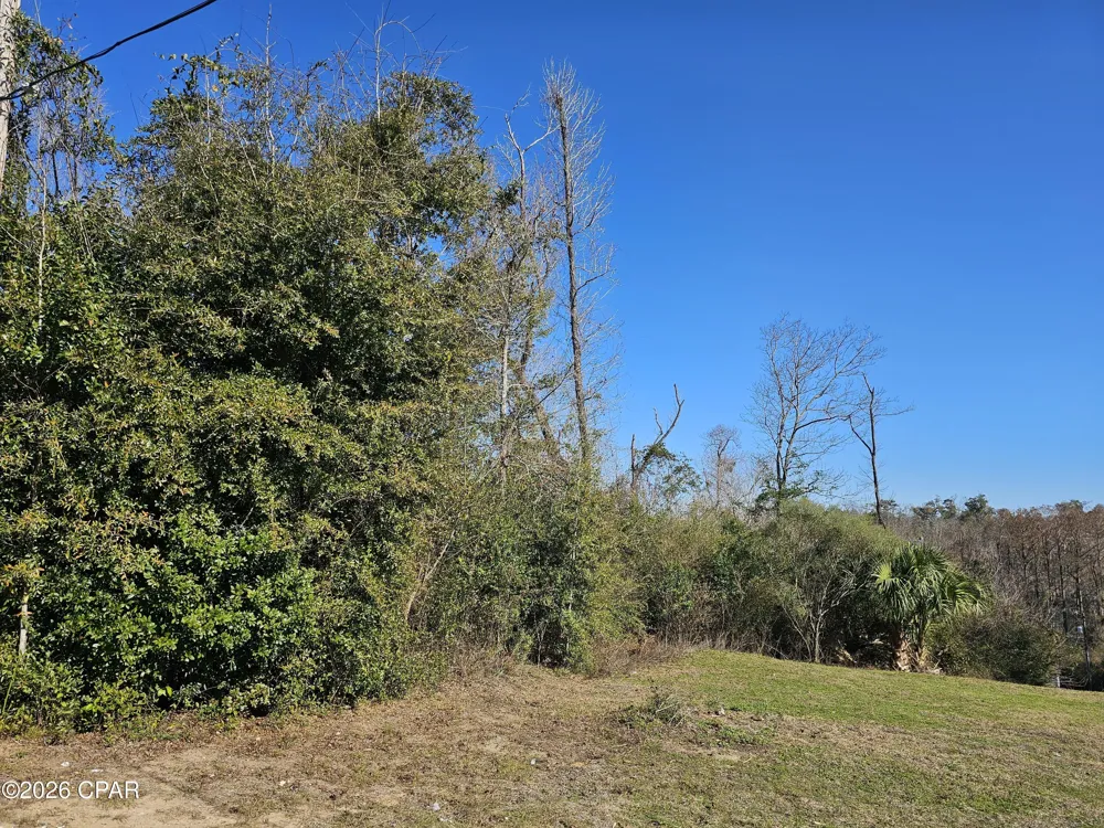 Flynt Drive Marianna, FL 32446