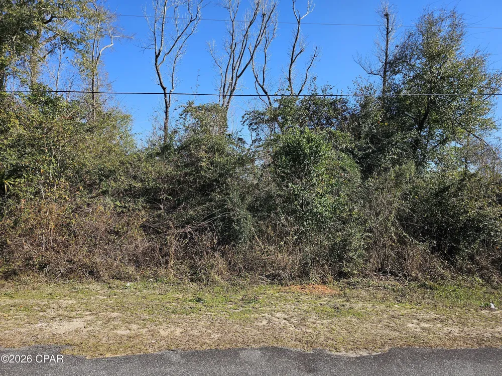 Flynt Drive Marianna, FL 32446