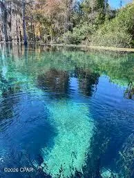 Flynt Drive Marianna, FL 32446
