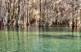 Flynt Drive Marianna, FL 32446