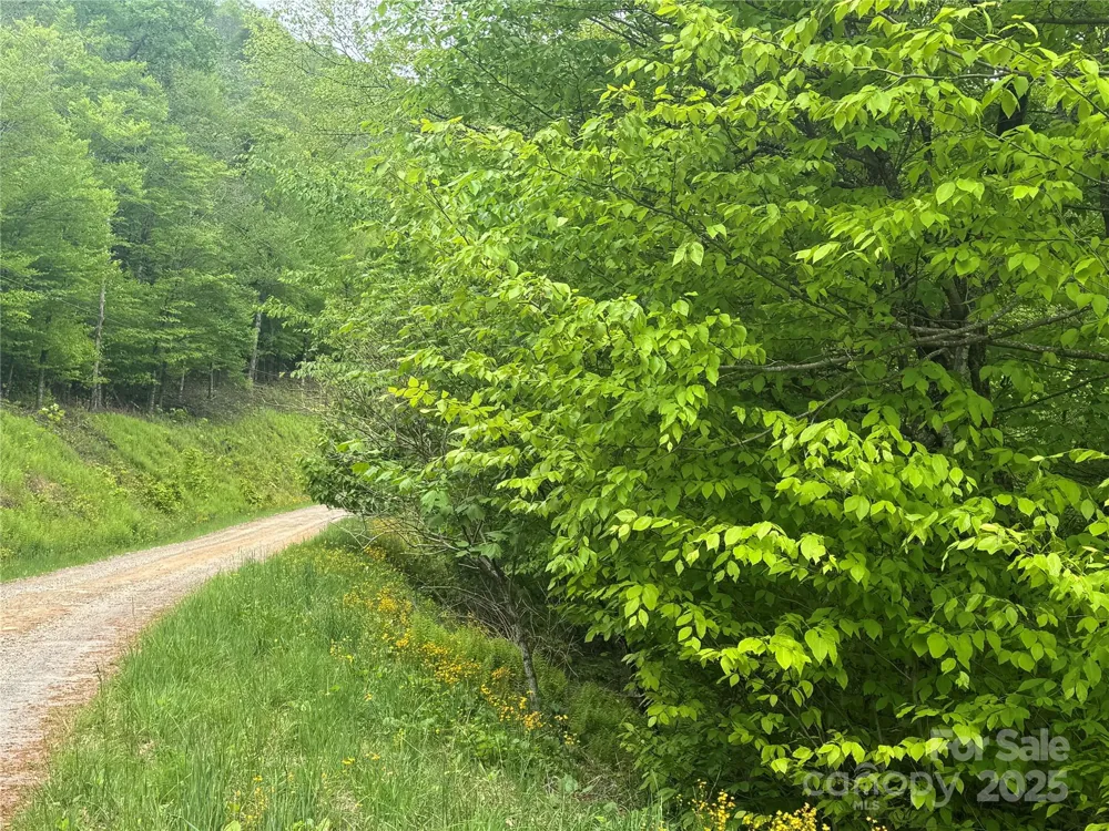 22 Zebulon Lane Mars Hill, NC 28754