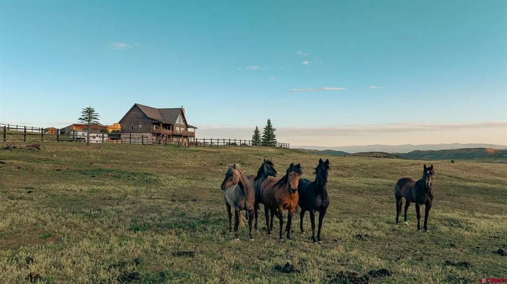 82100 92 Highway Crawford, CO 81415